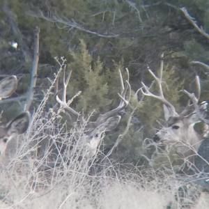 Meet your Posher, Payten